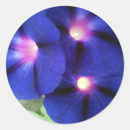 Adesivo Redondo Vinheta redonda floral