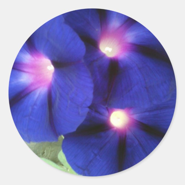 Adesivo Redondo Vinheta redonda floral (Frente)