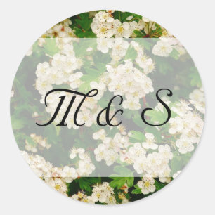 Adesivo Redondo Vinheta redonda Hawthron Blossom