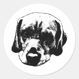 Adesivo Redondo Vinheta Retrato Preto e Branco Fechado do Labrador