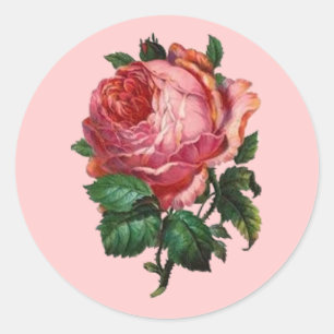 Adesivo Redondo Vinheta Rosa antiga
