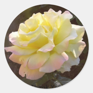 Adesivo Redondo Vinheta Rosa de paz