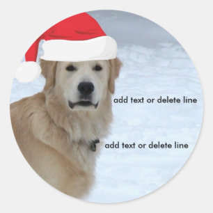 Adesivo Redondo Vinheta Santa Hat para Retriever de Ouro Personali