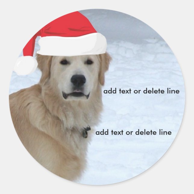 Adesivo Redondo Vinheta Santa Hat para Retriever de Ouro Personali (Frente)