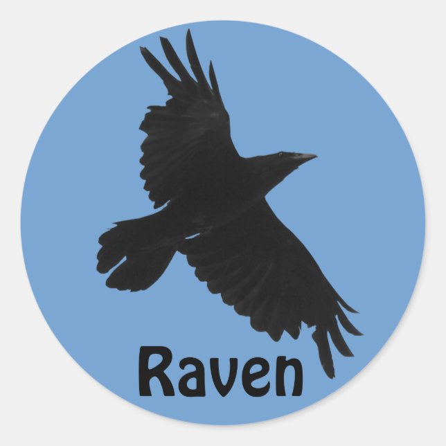 Adesivo Redondo Vinheta Selvagem de Raven Birdlover Negro (Frente)