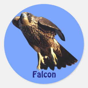 Adesivo Redondo Vinheta Selvagem do Raptor Falcon Birdlover