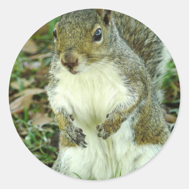 Adesivo Redondo Vinheta sem título (Frente)