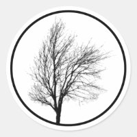 Vinheta Silhouter Bare Tree