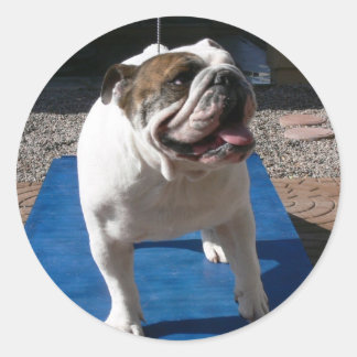 Adesivo Redondo Vinheta Titã