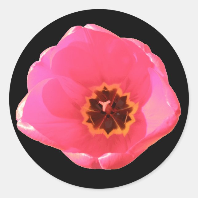 Adesivo Redondo Vinheta Tulip Rosa (Frente)