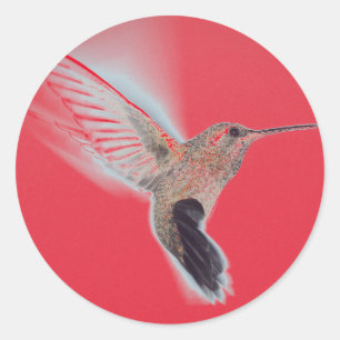 Adesivo Redondo Vinheta VERMELHA HUMMINGBIRD
