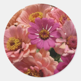 Adesivo Redondo Vinheta Zinnias Rosa