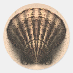 Adesivo Redondo Vinhetas