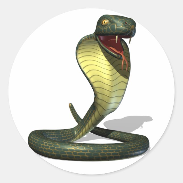 Adesivo Redondo Vinhetas Cobra (Frente)
