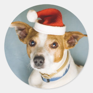 Adesivo Redondo Vinhetas de Cachorro de Natal