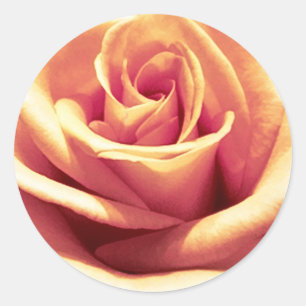 Adesivo Redondo Vinhetas De Envelope Laranja-Pêssego