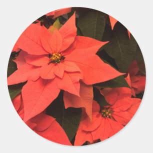 Adesivo Redondo Vinhetas de Envelopes de Natal Vermelho