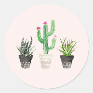 Adesivo Redondo Vinhetas de Favor de Cactus Sucultos no Deserto - 