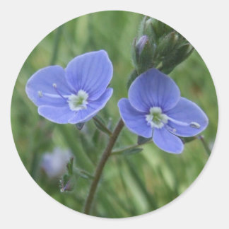 Adesivo Redondo Vinhetas de Flor Azul