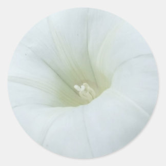 Adesivo Redondo Vinhetas de flor branca