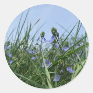 Adesivo Redondo Vinhetas de flor selvagem