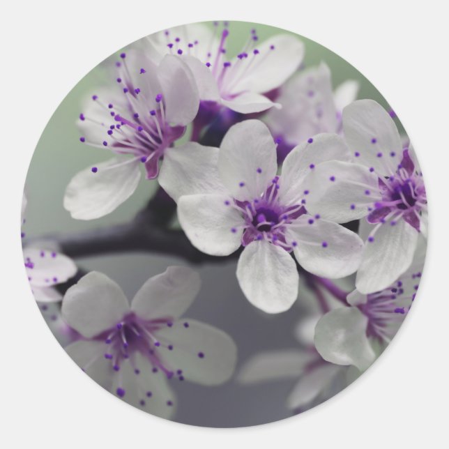 Adesivo Redondo vinhetas de flores (Frente)
