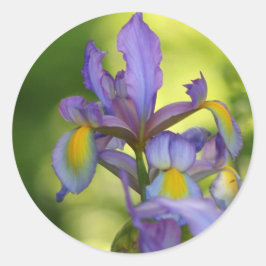 Adesivo Redondo Vinhetas de flores de Íris