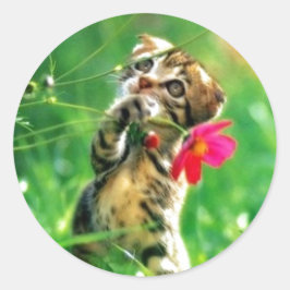 Adesivo Redondo Vinhetas de Forma do Círculo de Cristóvão