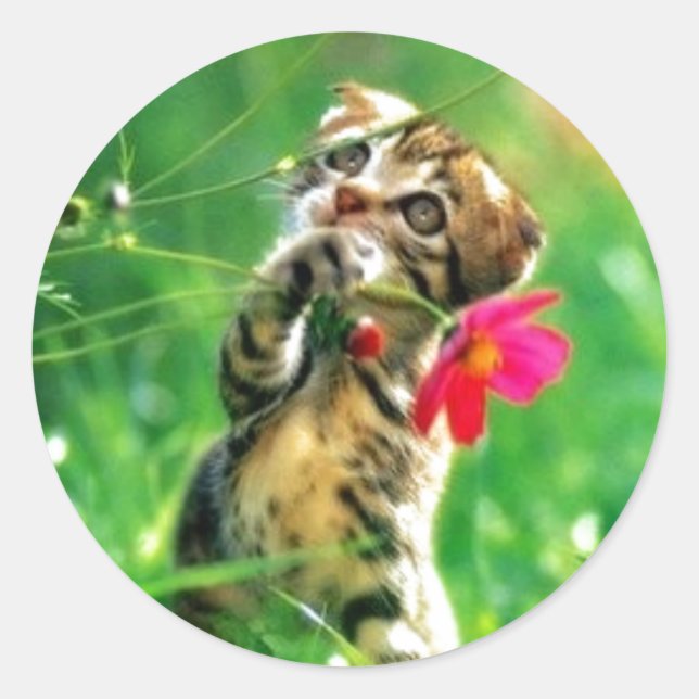 Adesivo Redondo Vinhetas de Forma do Círculo de Cristóvão (Frente)