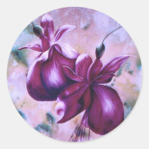 Vinhetas de Fuchsias Gordas