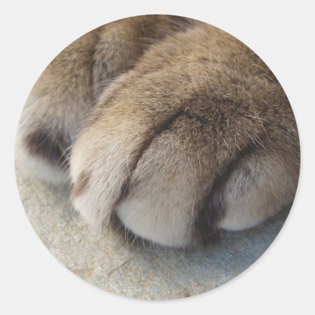 Adesivo Redondo Vinhetas de Gato (Frente)