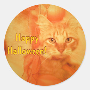 Adesivo Redondo Vinhetas de Gato Halloween