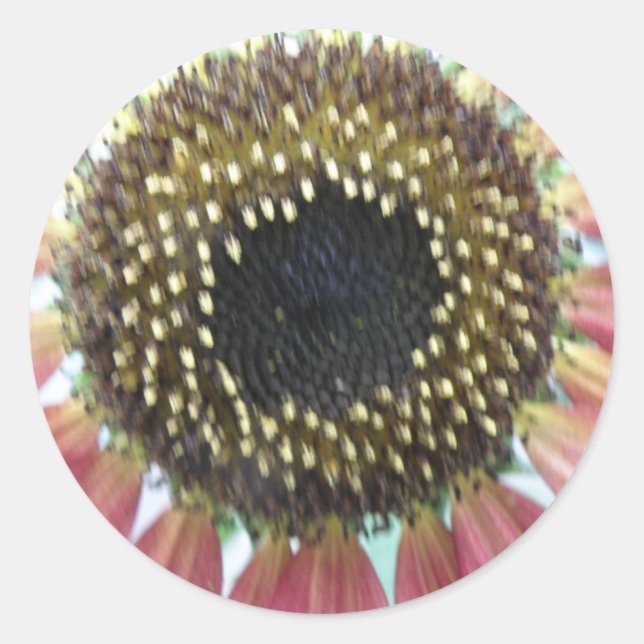 Adesivo Redondo Vinhetas de girassol cor-de-rosa bonito (Frente)