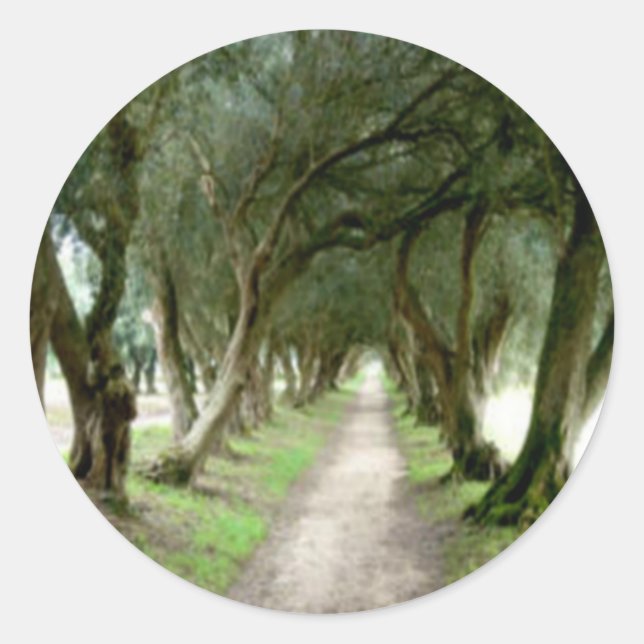 Adesivo Redondo Vinhetas de Jardim Oleícola (Frente)