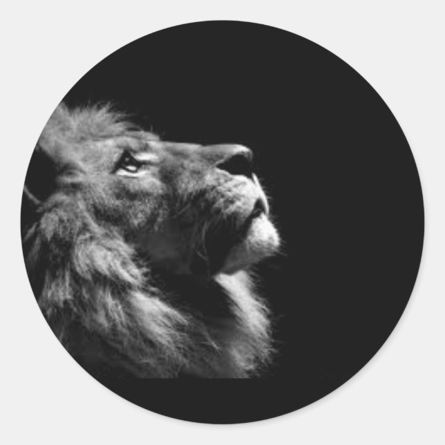 Adesivo Redondo Vinhetas de leão (Frente)