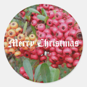 Adesivo Redondo Vinhetas de Natal das Berries Vermelhas