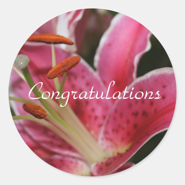 Adesivo Redondo Vinhetas De Parabéns Para Presentes (Frente)