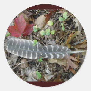 Adesivo Redondo Vinhetas de penas de Turquia selvagem