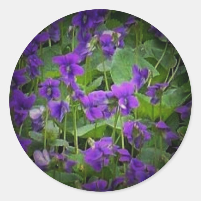 Adesivo Redondo Vinhetas de proteção contra violetas de madeira (Frente)