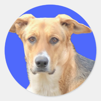 Adesivo Redondo Vinhetas De Rosto Canino