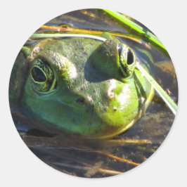 Adesivo Redondo Vinhetas de Sapo