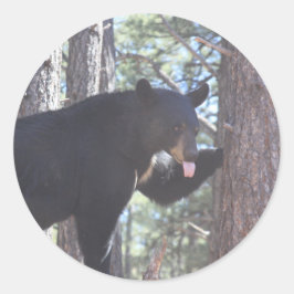 Adesivo Redondo Vinhetas de Urso Preto