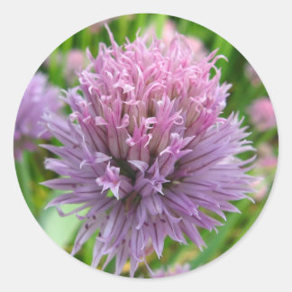 Adesivo Redondo Vinhetas de urticária brilhantes