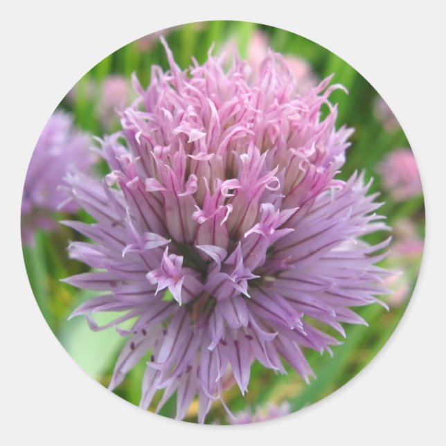 Adesivo Redondo Vinhetas de urticária brilhantes (Frente)