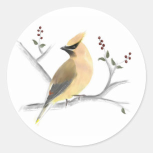 Adesivo Redondo Vinhetas de Waxwing Cedar de Aquarelas