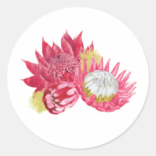 Adesivo Redondo Vinhetas Nativas Botânicas