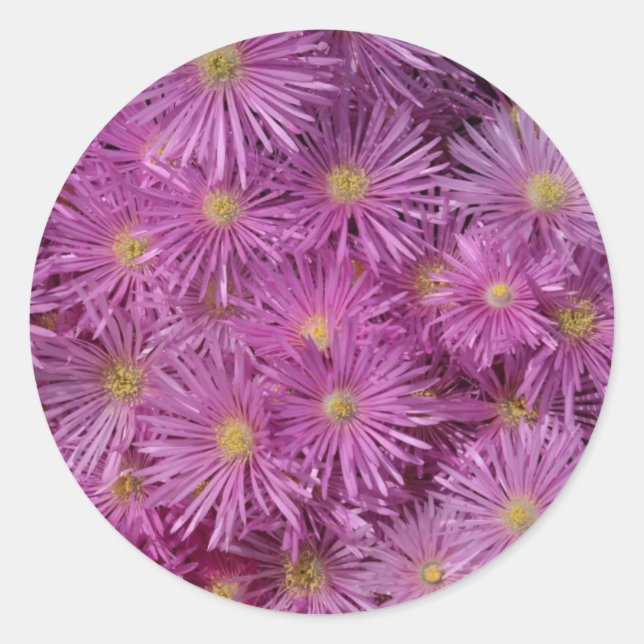 Adesivo Redondo Vinhetas para vedação de envelopes vermelhos (Frente)