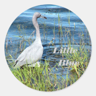 Adesivo Redondo Vinhetas, Pequeno Azul