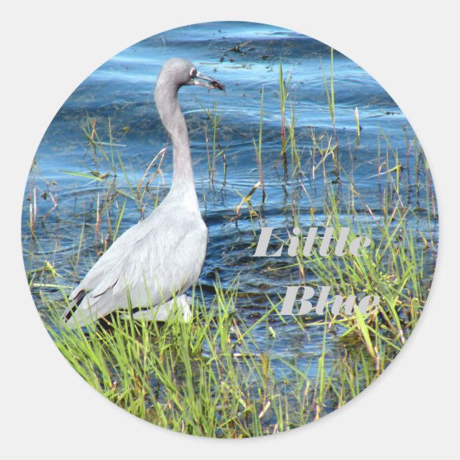 Adesivo Redondo Vinhetas, Pequeno Azul (Frente)