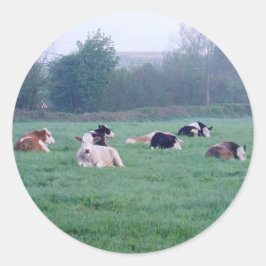 Adesivo Redondo Vinhetas - Vacas - Cor
